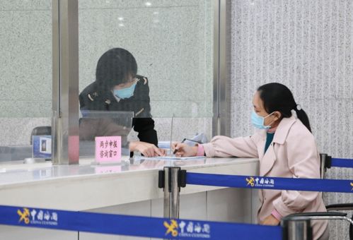 攜帶寵物出國的完整指南 手續與代理代辦